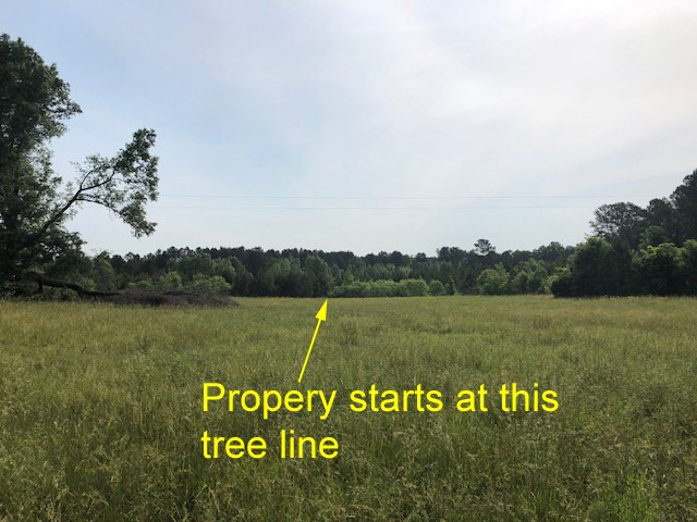 2512 Fowler Road Mitchell, GA 30820 - Photo 5 of 11