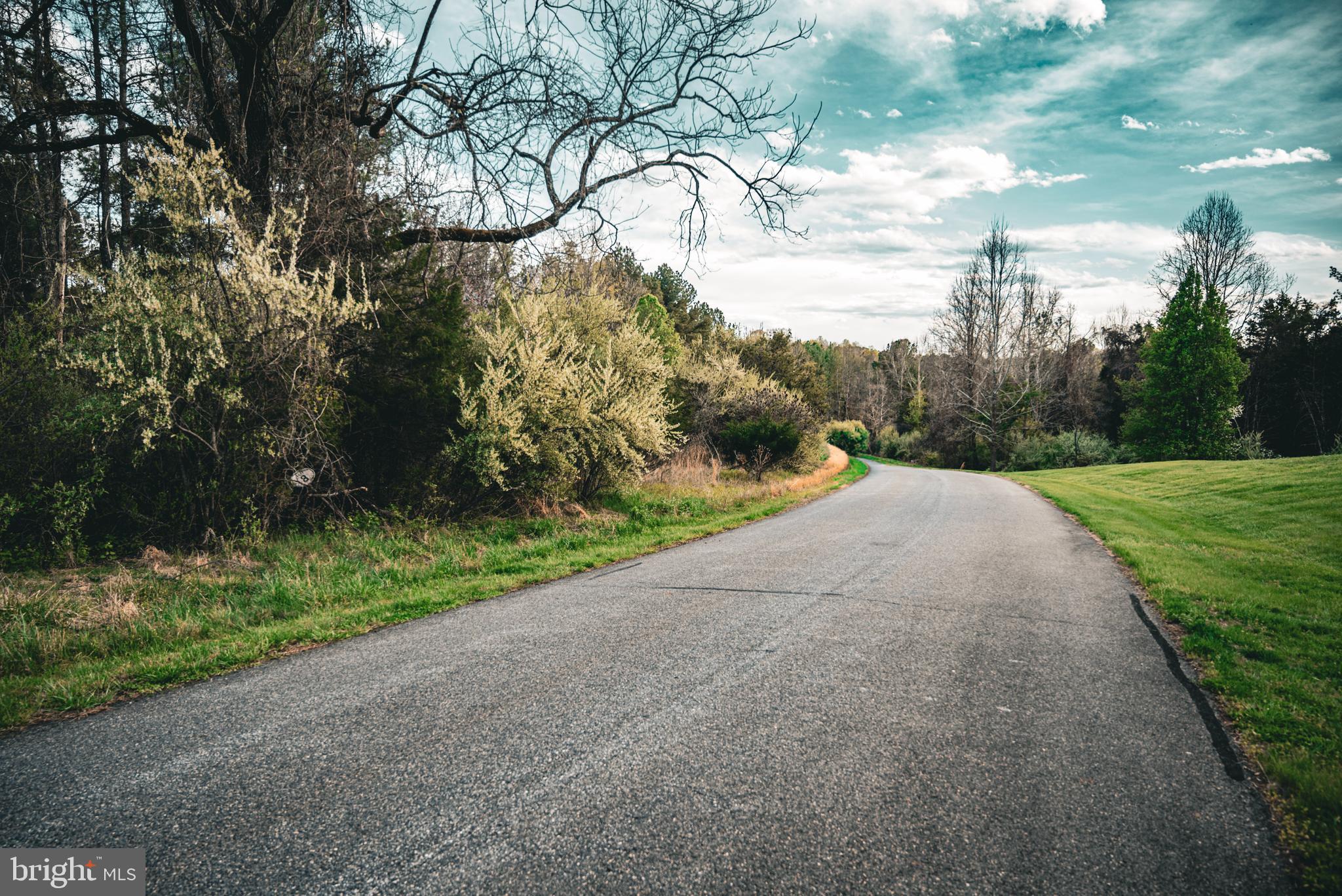 Tbd Ridgeview Drive Ruckersville, VA 22968 - Photo 12 of 27 a view of a road with a yard