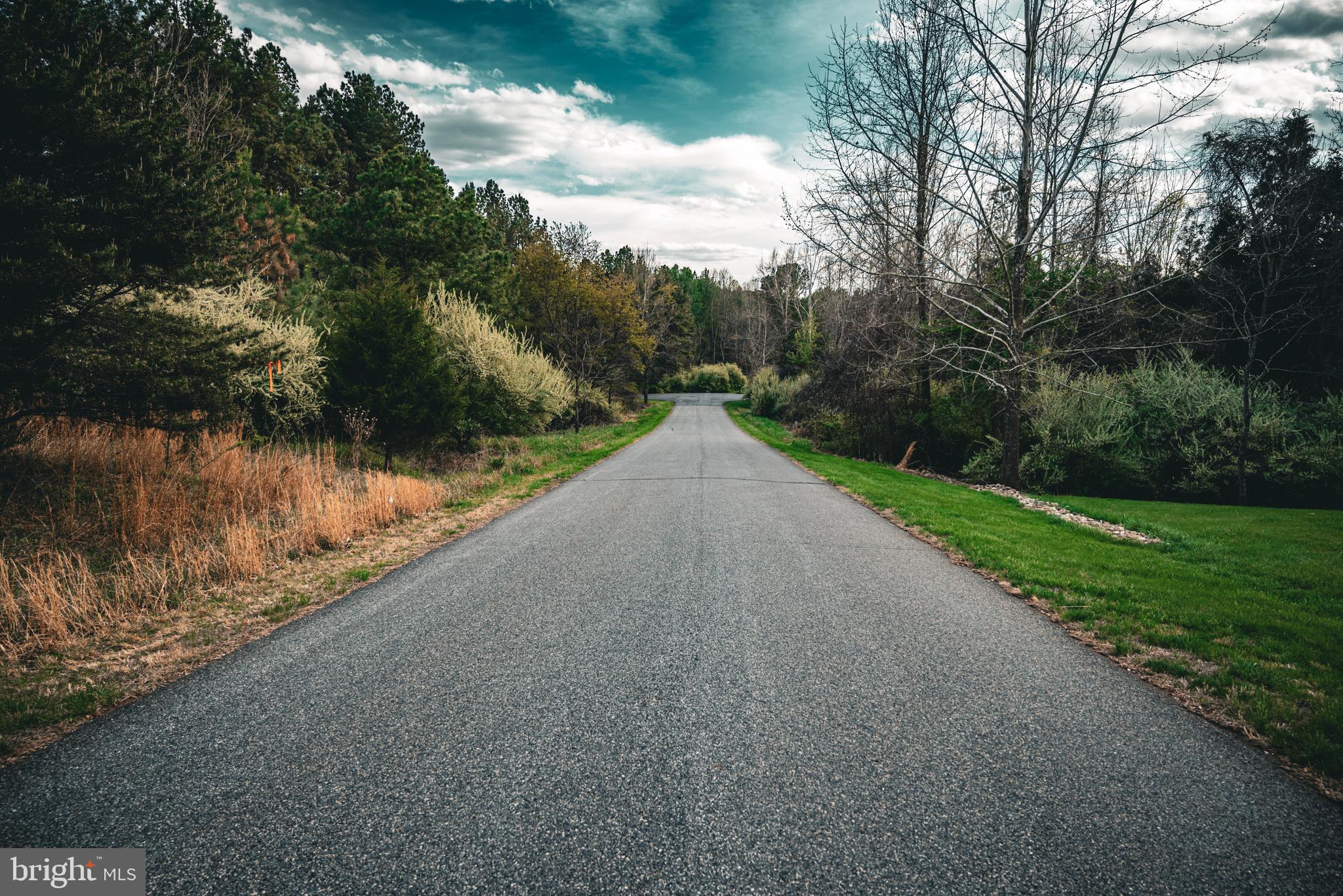 Tbd Ridgeview Drive Ruckersville, VA 22968 - Photo 13 of 27 a view of a lake with a yard