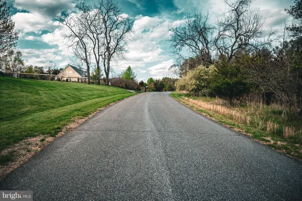 a view of a street with a yard and a large trees