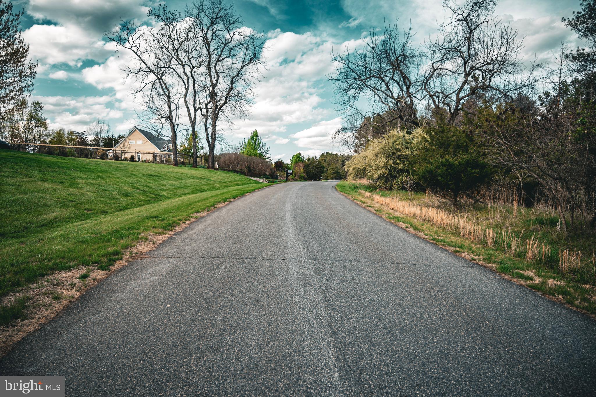 Tbd Ridgeview Drive Ruckersville, VA 22968 - Photo 14 of 27 a view of a street with a yard and a large trees