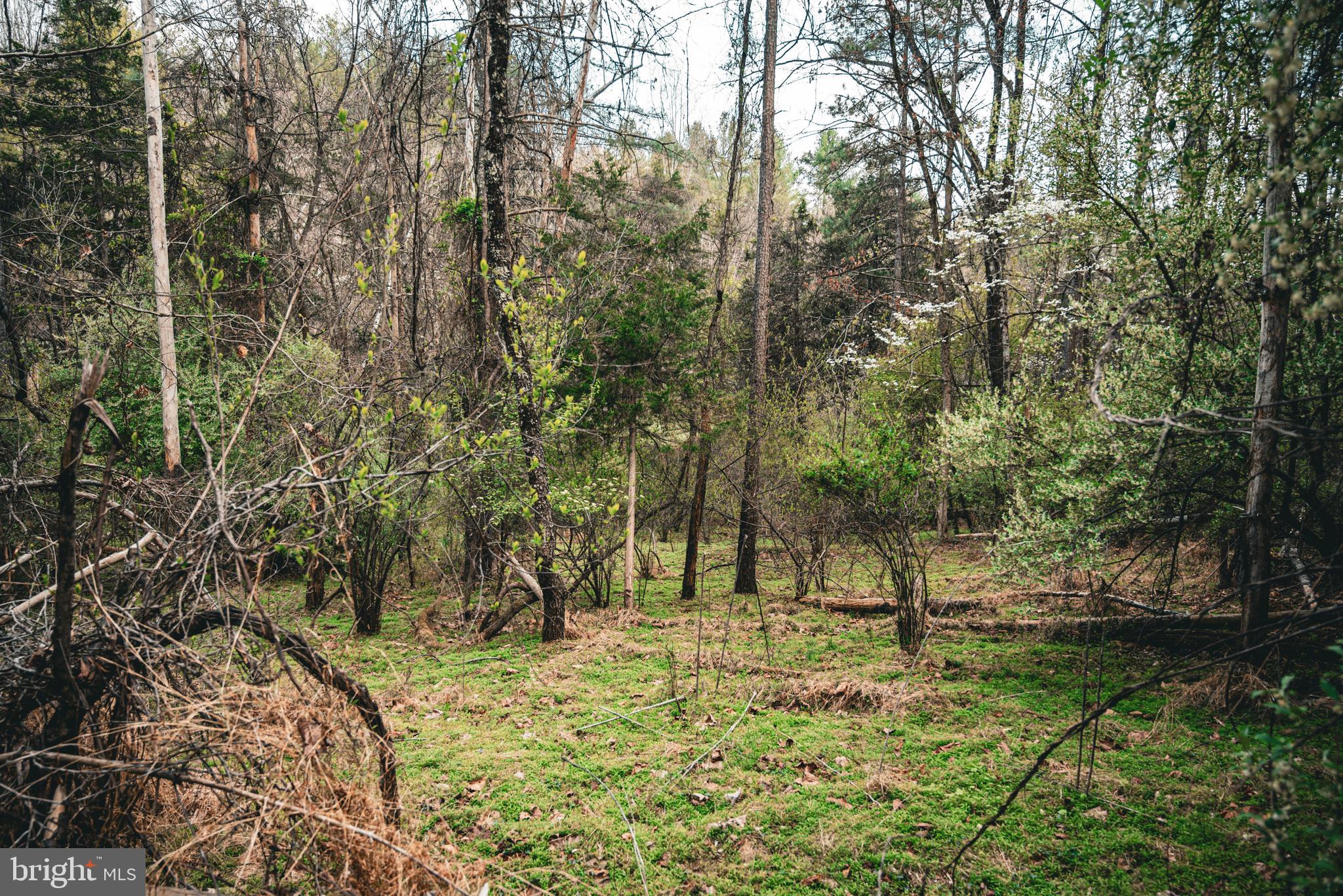 Tbd Ridgeview Drive Ruckersville, VA 22968 - Photo 16 of 27 a view of outdoor space with deck and trees