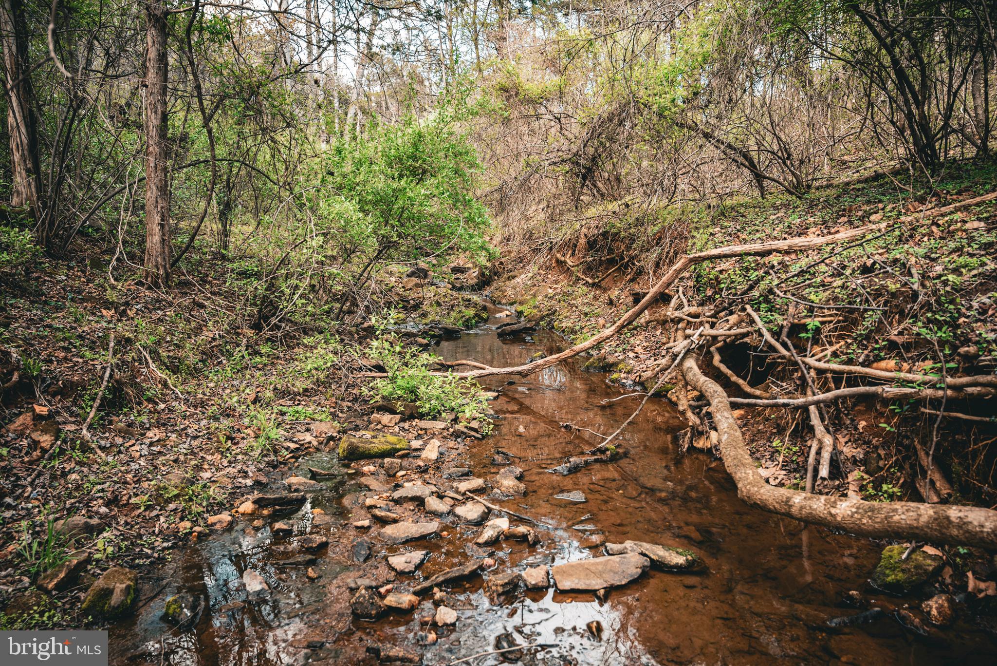 Tbd Ridgeview Drive Ruckersville, VA 22968 - Photo 20 of 27 a view of a tree