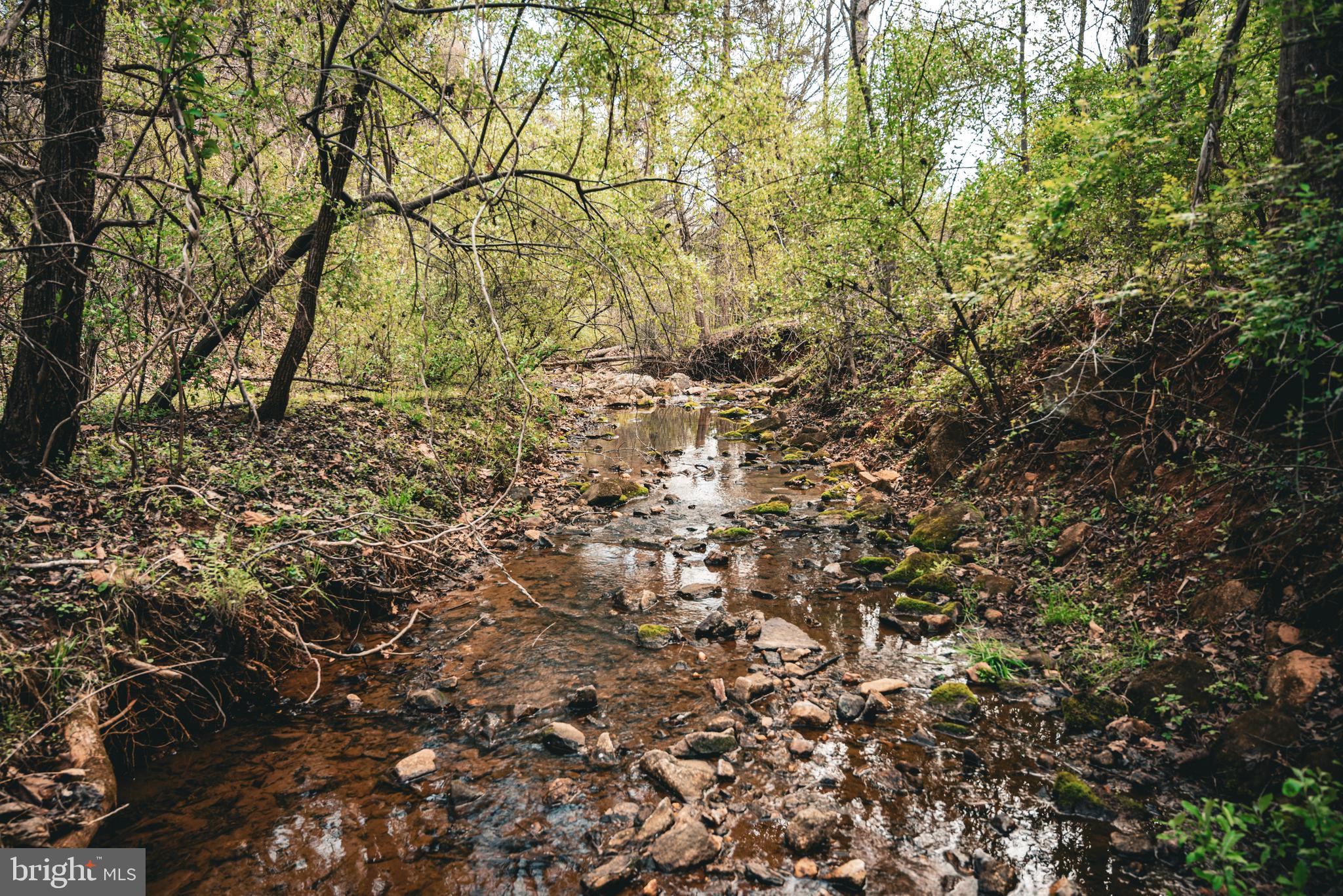 Tbd Ridgeview Drive Ruckersville, VA 22968 - Photo 21 of 27 a view of yard