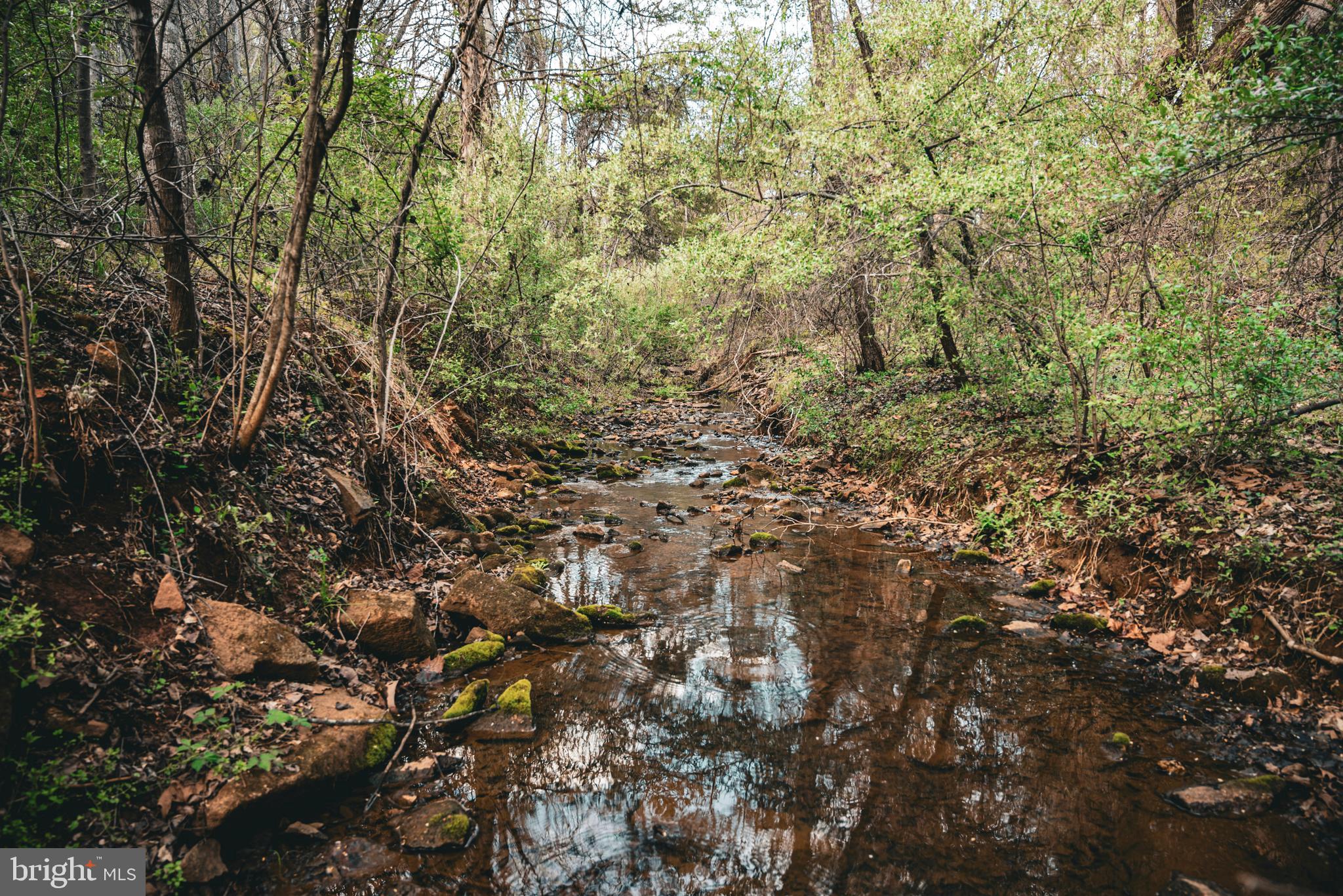 Tbd Ridgeview Drive Ruckersville, VA 22968 - Photo 22 of 27 a view of a tree