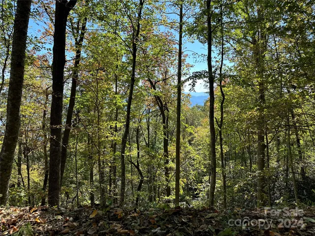 $13,900 | 9999 Barn Cove Road, Clyde, NC 28721