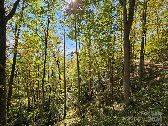 $13,900 | 9999 Barn Cove Road, Clyde, NC 28721