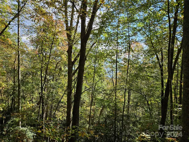 $13,900 | 9999 Barn Cove Road, Clyde, NC 28721