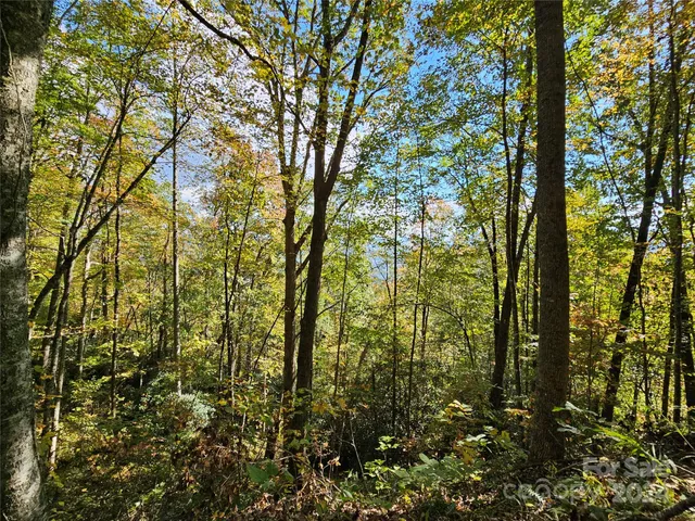 $13,900 | 9999 Barn Cove Road, Clyde, NC 28721