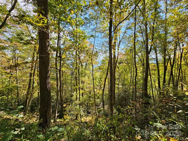 $13,900 | 9999 Barn Cove Road, Clyde, NC 28721