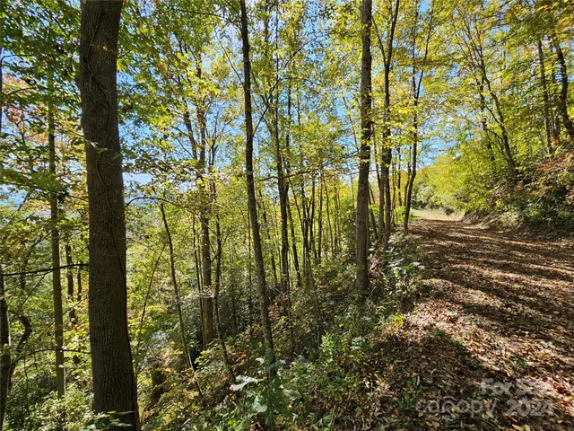 $13,900 | 9999 Barn Cove Road, Clyde, NC 28721