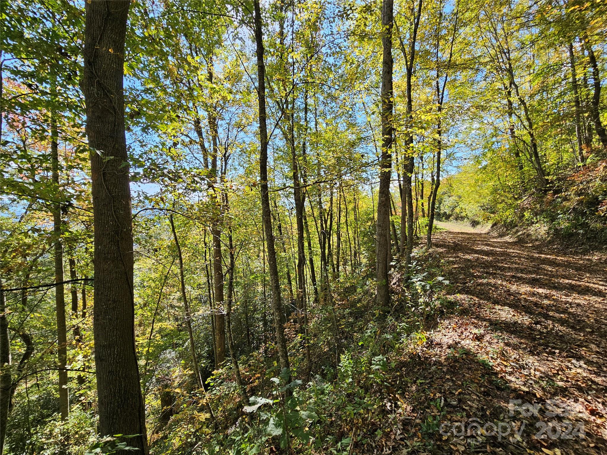9999 Barn Cove Road Clyde, NC 28721 - Photo 7 of 7