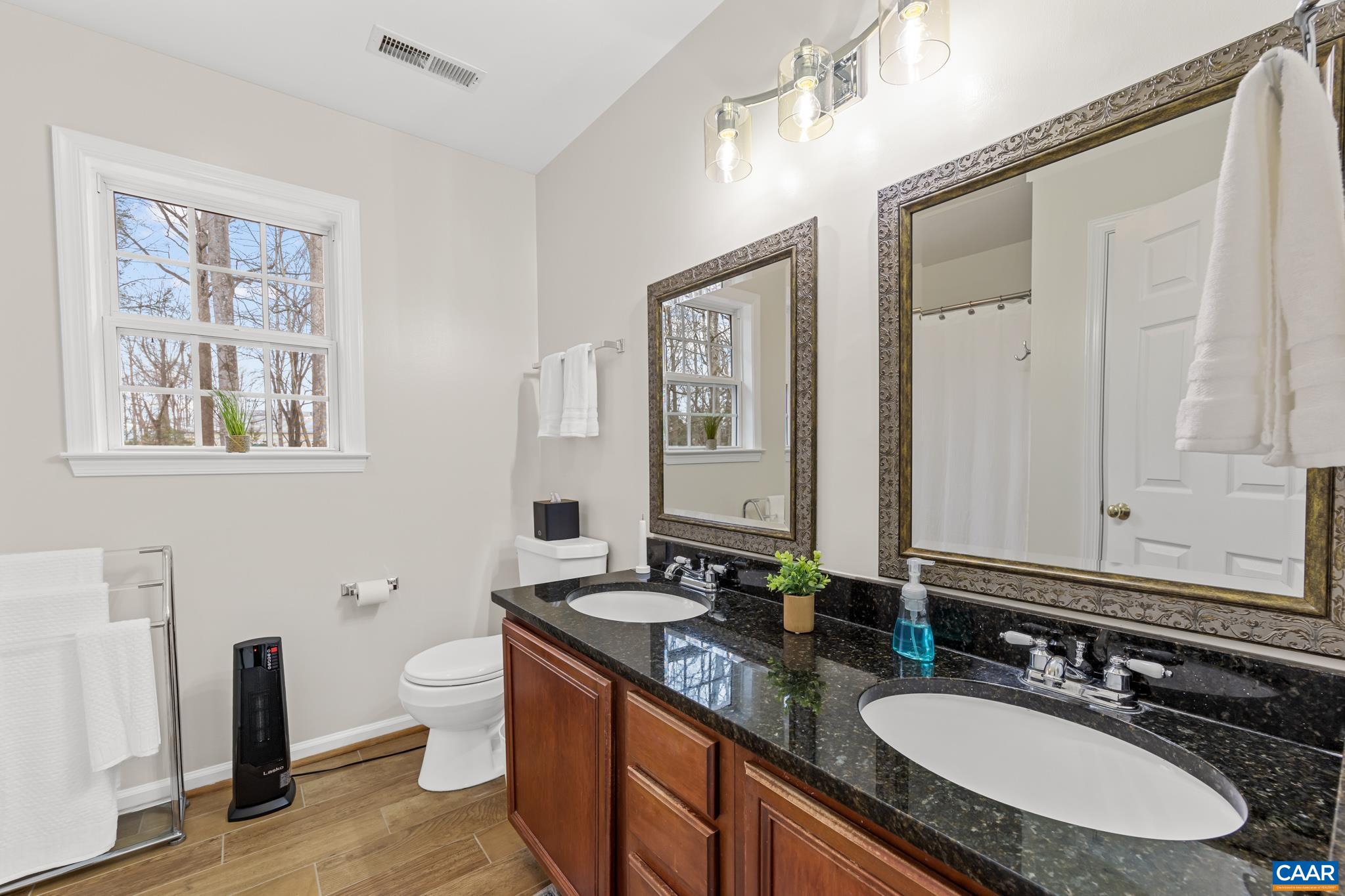 334 Carodon Drive Ruckersville, VA 22968 - Photo 30 of 54 a bathroom with double vanity sinks a toilet a mirror and a window
