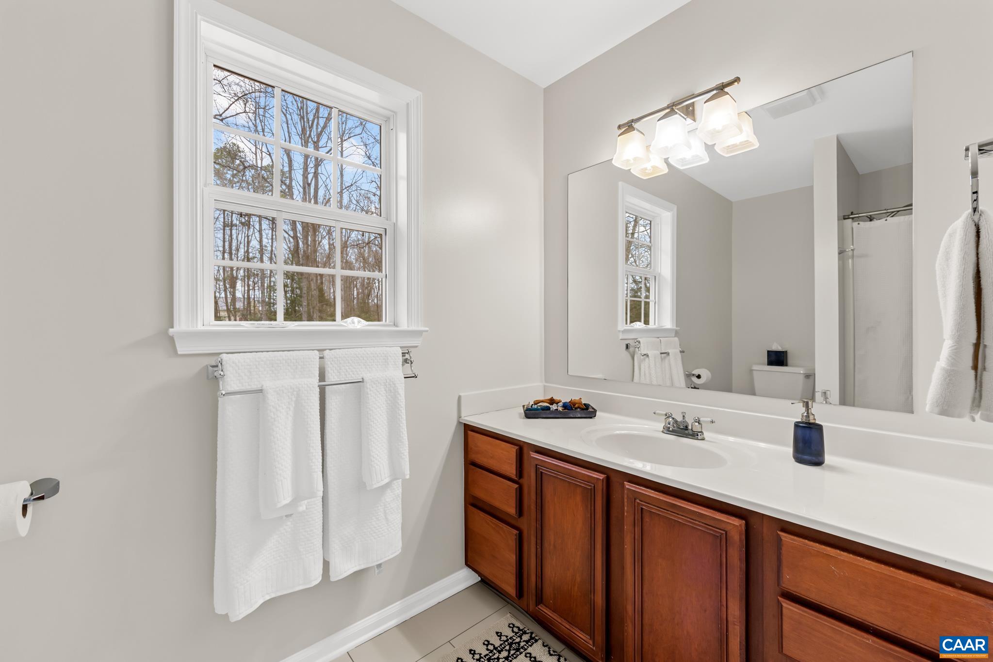334 Carodon Drive Ruckersville, VA 22968 - Photo 34 of 54 a bathroom with a sink and a mirror