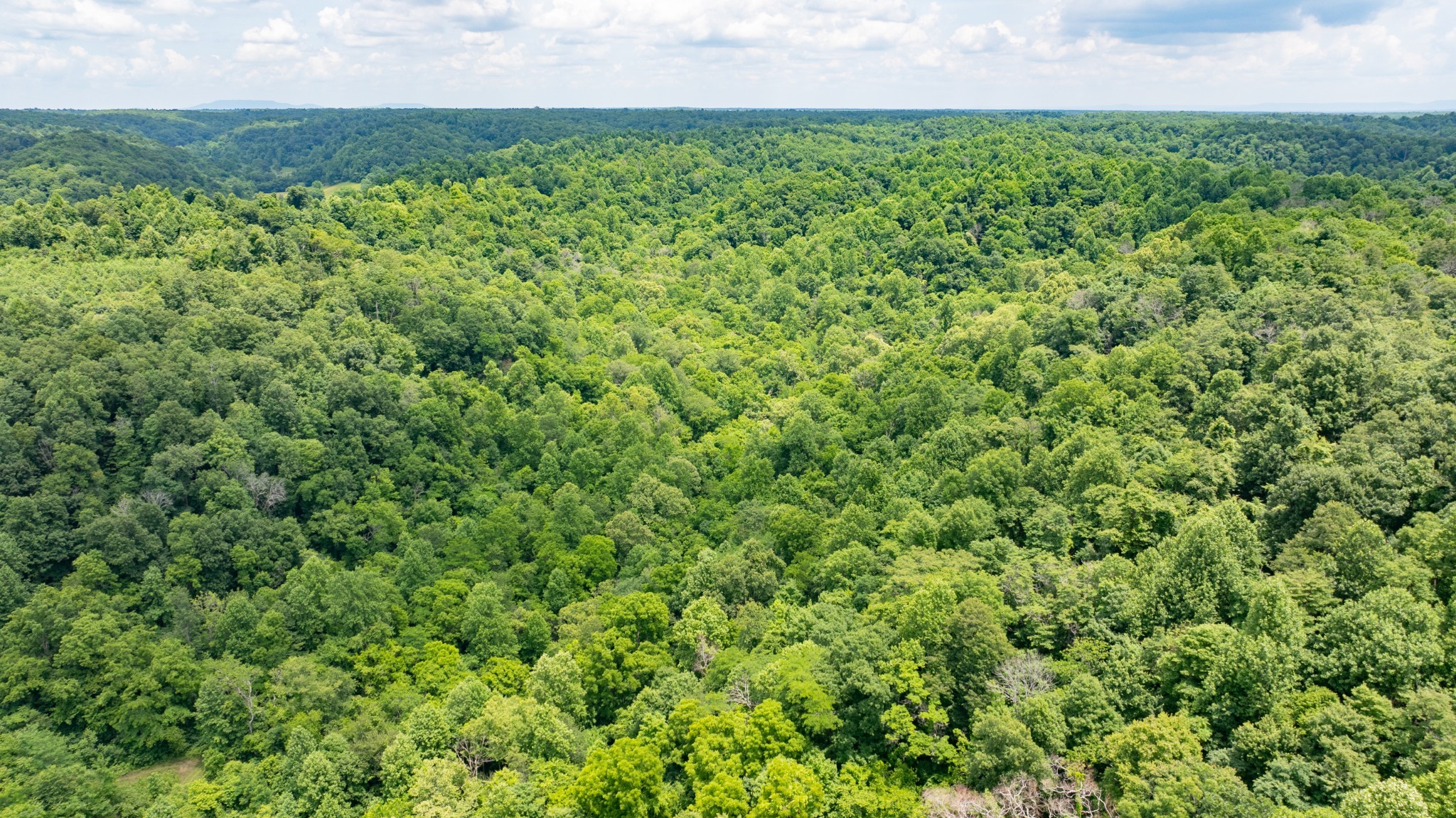 582 Cedar Bend Road Beechgrove, TN 37018 - Photo 24 of 32