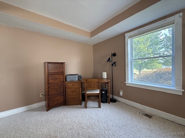 351 Halsey Road Richland, NY 13142 - Photo 22 of 49