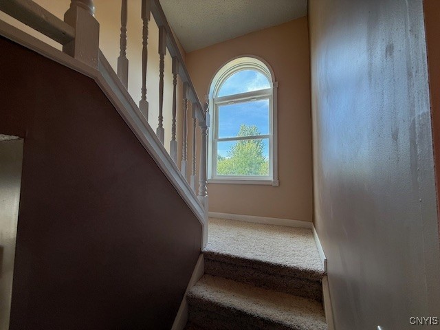 351 Halsey Road Richland, NY 13142 - Photo 24 of 49