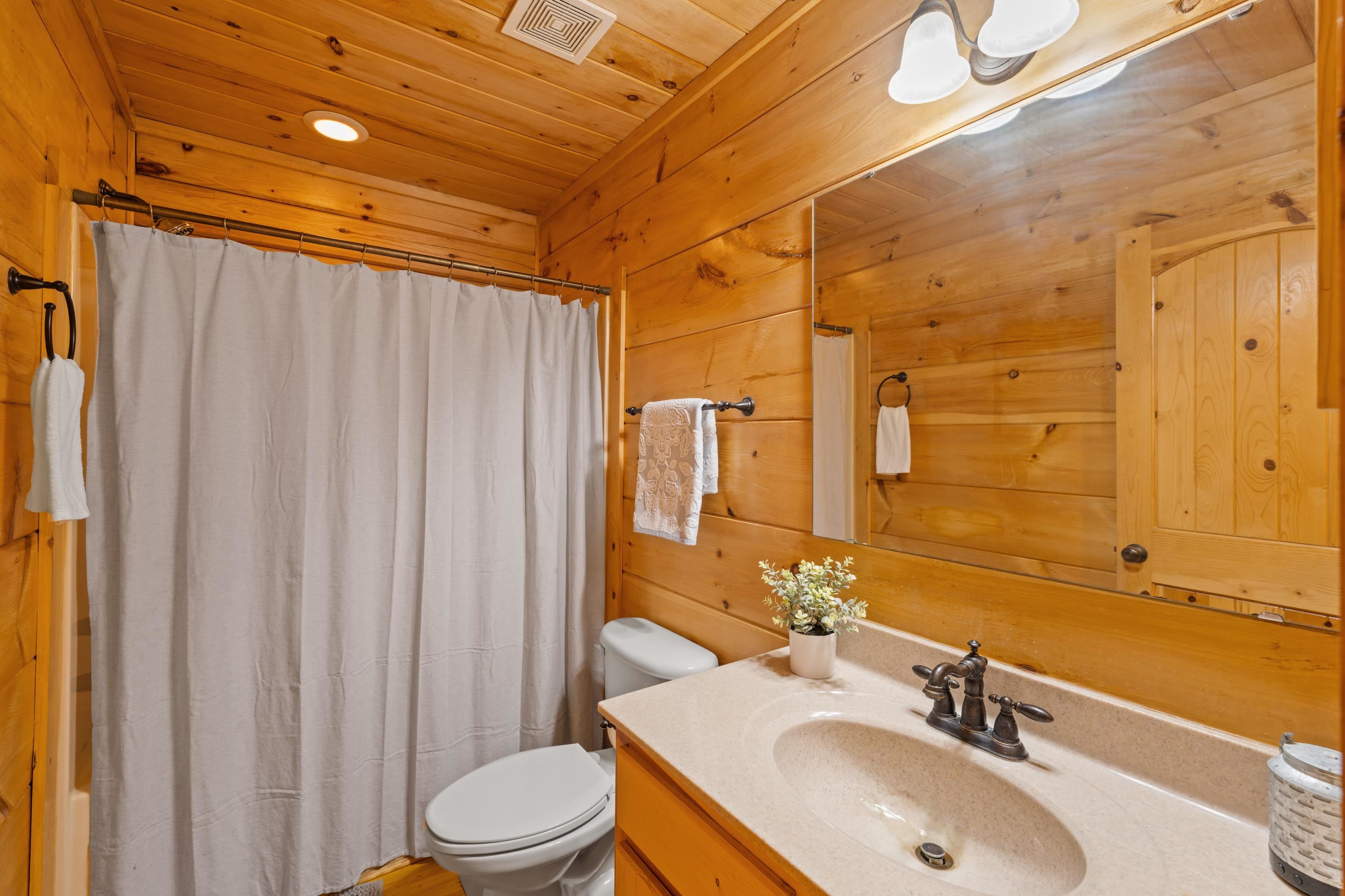 115 Spring Crossing Lane Steeles Tavern, VA 24476 - Photo 40 of 74 a bathroom with a sink toilet and shower
