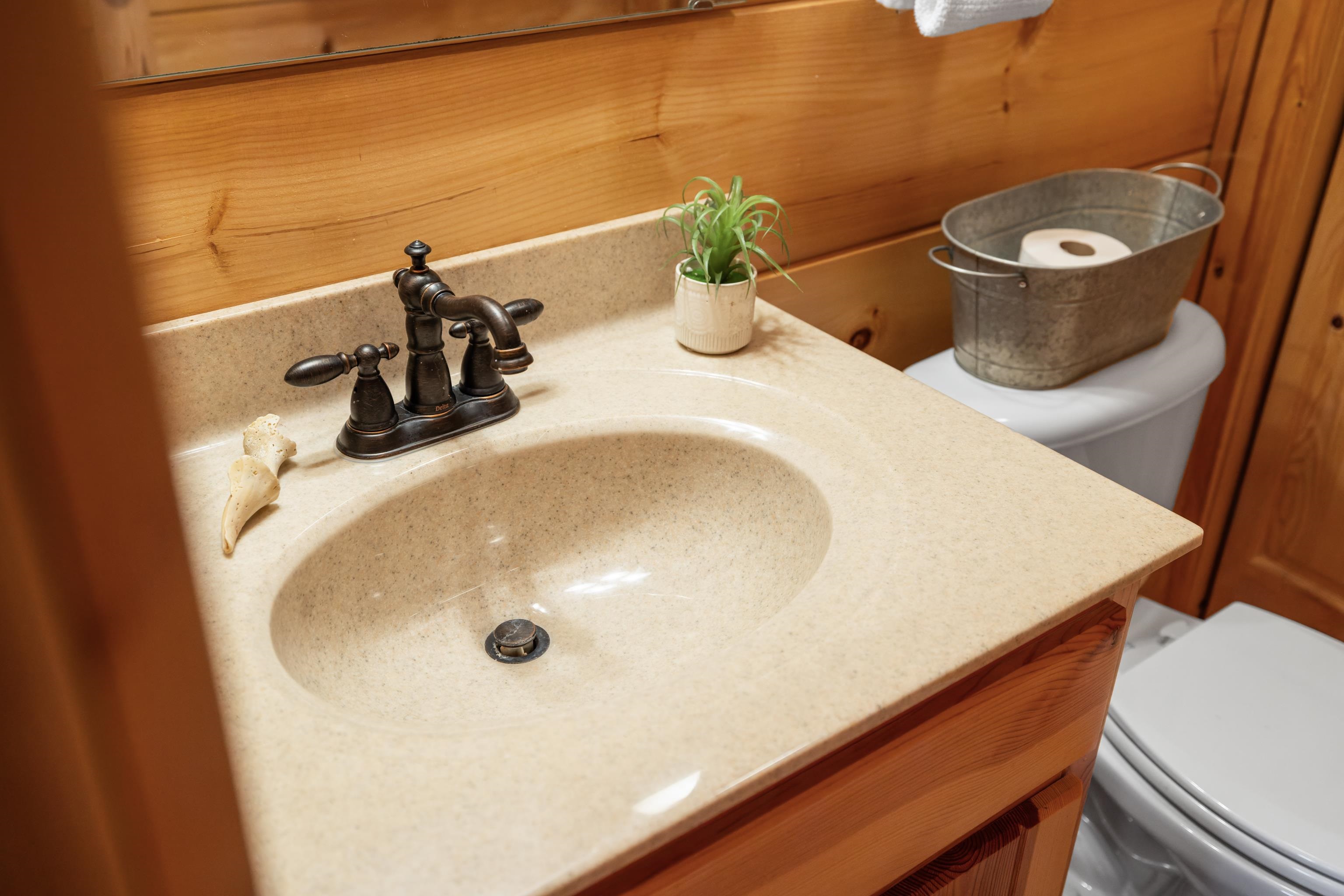 115 Spring Crossing Lane Steeles Tavern, VA 24476 - Photo 44 of 74 a bathroom with a sink and a toilet