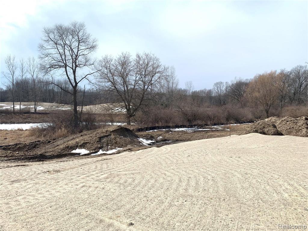 0 Chestnut Springs Drive Howell, MI 48843 - Photo 9 of 9