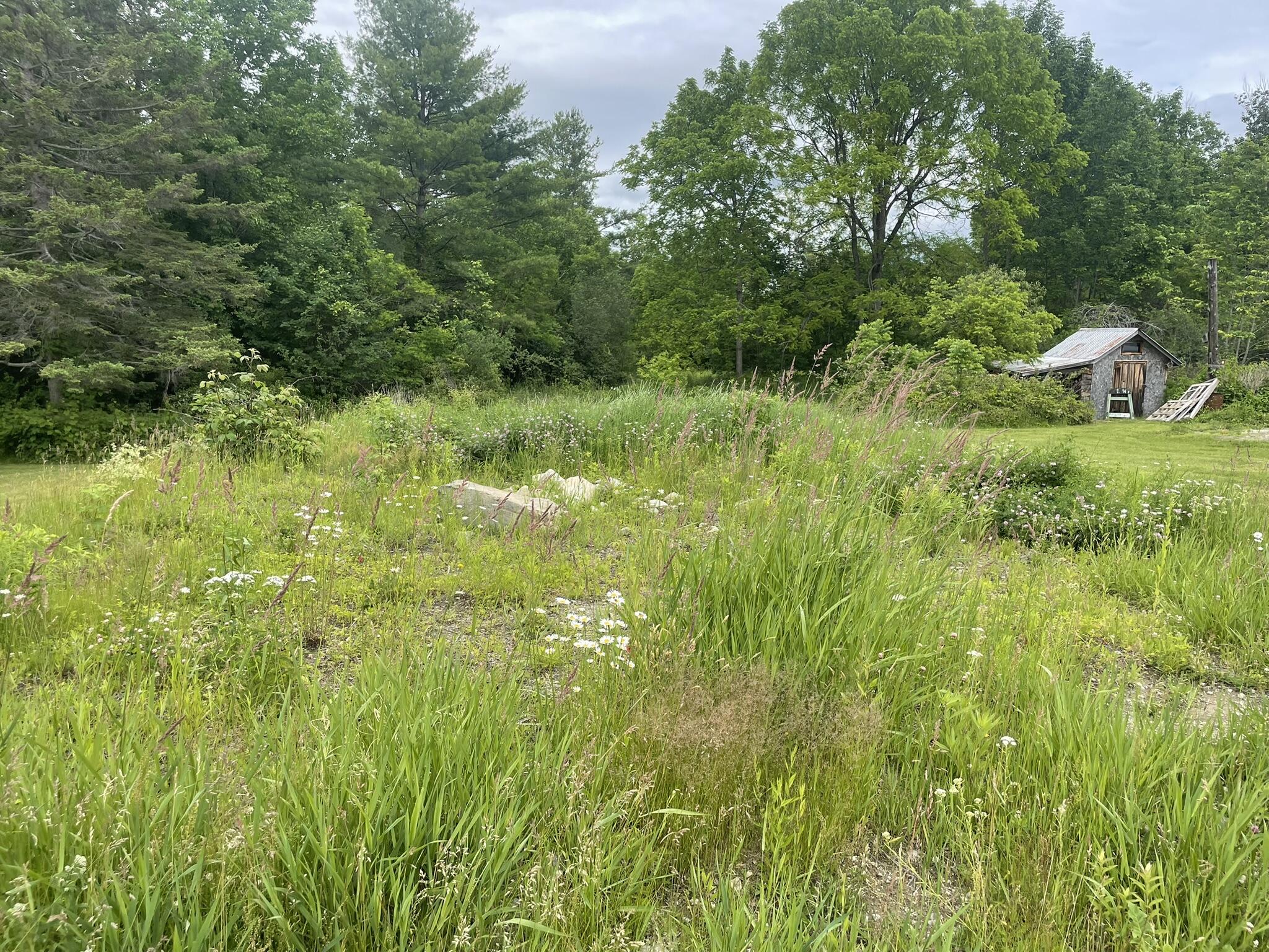19 Swan Road New Sharon, ME 04955 - Photo 79 of 124 IMG_6282