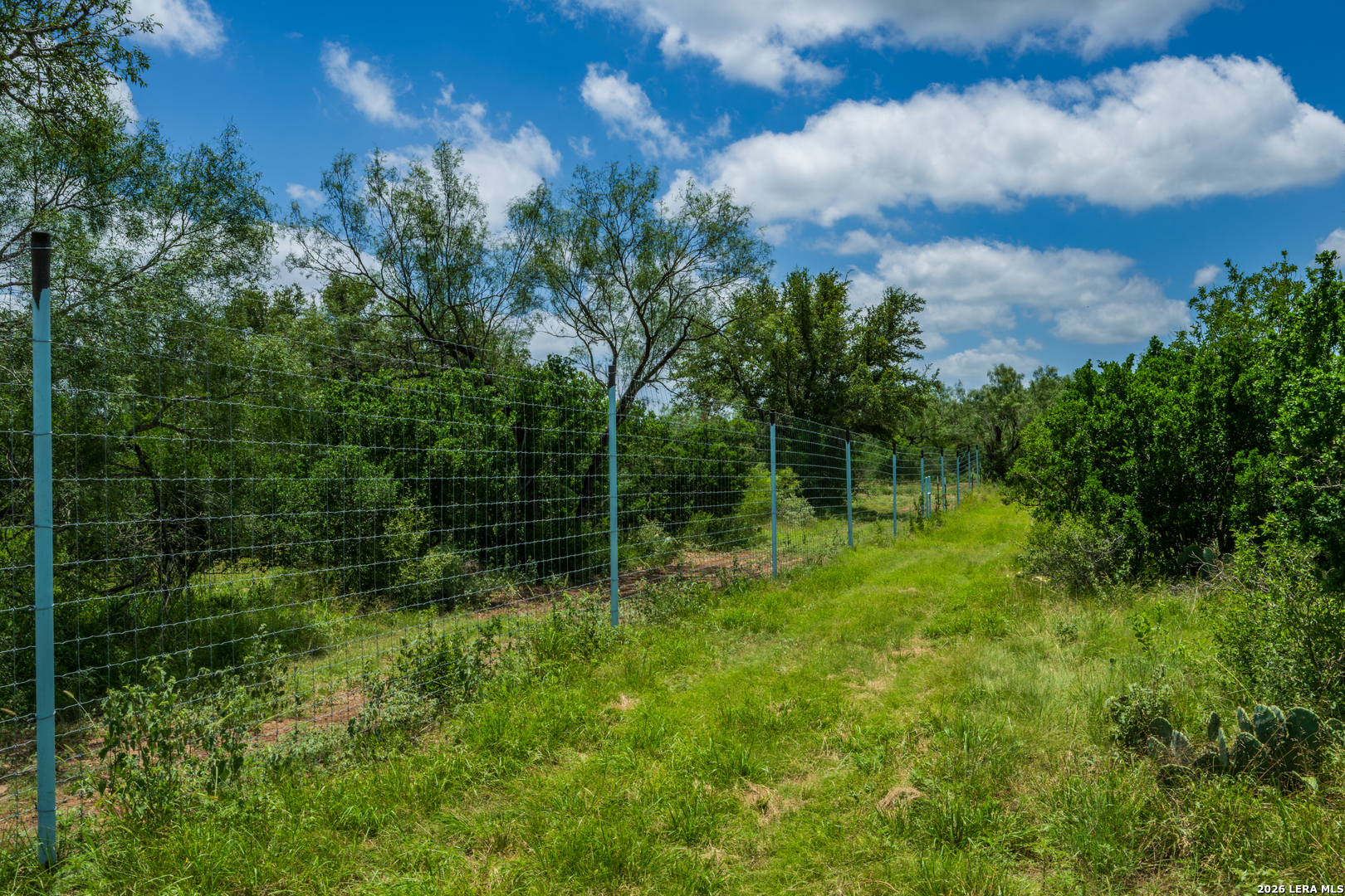 0 Miller Road Uvalde, TX 78801 - Photo 37 of 41