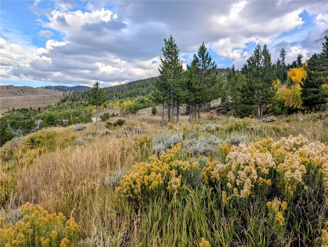 $42,000 | Tbd West Ridgeway Avenue, Hot Sulphur Springs, CO 80451
