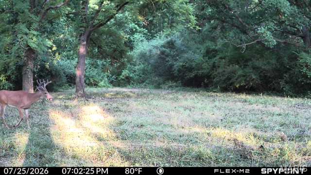 9368 Rhea Park Road Loami, IL 62661 - Photo 56 of 58 Gallery Image 56