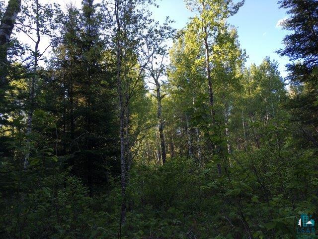 Tbd Pequaywan Lake Road Brimson, MN 55602 - Photo 3 of 15 Young