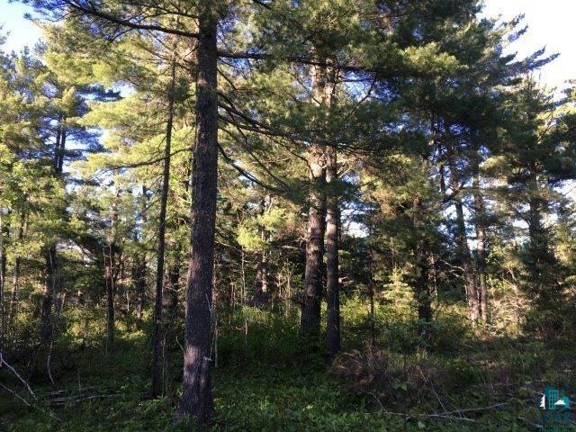 Tbd Pequaywan Lake Road Brimson, MN 55602 - Photo 4 of 15 Old