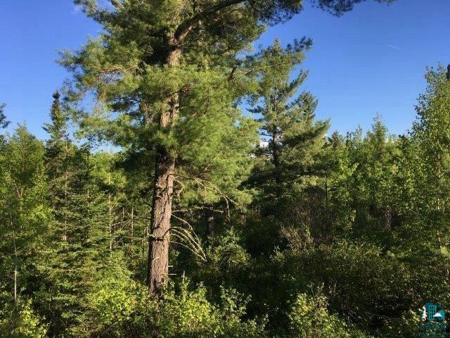 Tbd Pequaywan Lake Road Brimson, MN 55602 - Photo 7 of 15 High ridges