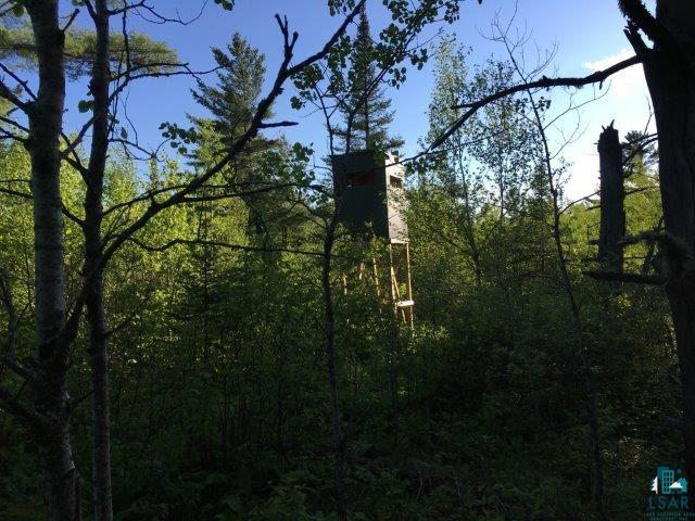 Tbd Pequaywan Lake Road Brimson, MN 55602 - Photo 8 of 15 Deerstand with a View
