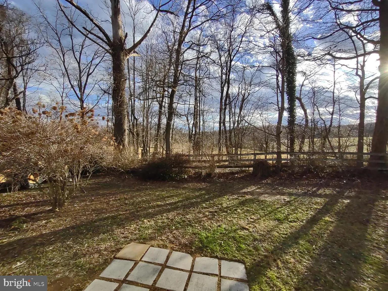 12009 Briar Patch Road Hume, VA 22639 - Photo 18 of 21 back yard