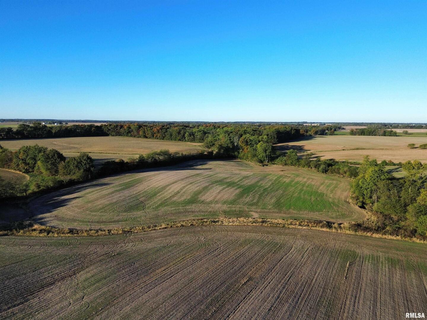 0 County Road 2100 N County Road Cisne, IL 62823 - Photo 7 of 20