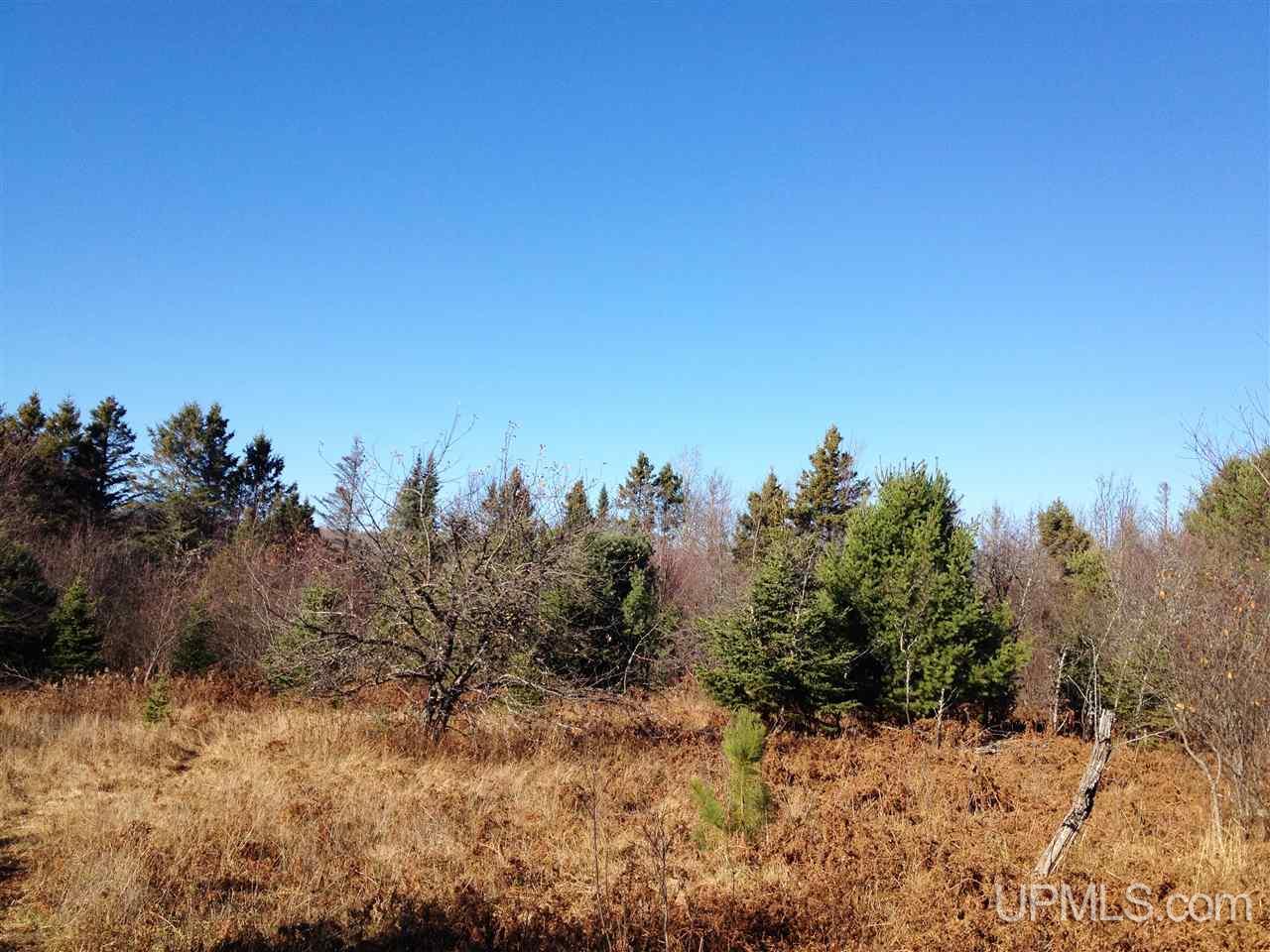 Tbd Hongisto Road Chassell, MI 49916 - Photo 3 of 16 Gallery Image 3