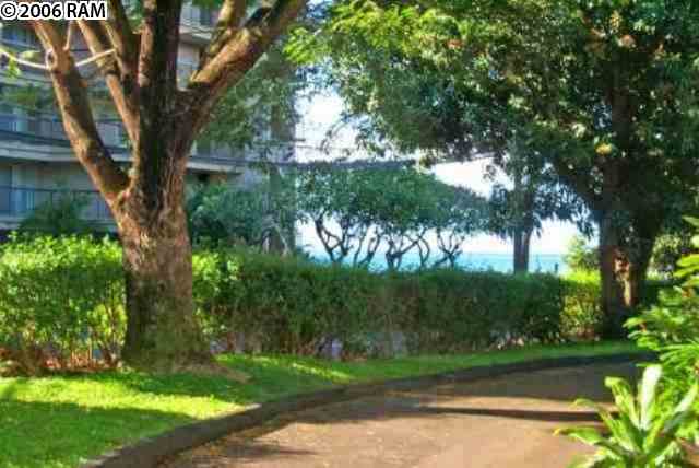 4435 Lower Honoapiilani Road, Unit 124 Lahaina, HI 96761 - Photo 1 of 10 Gallery Image 1