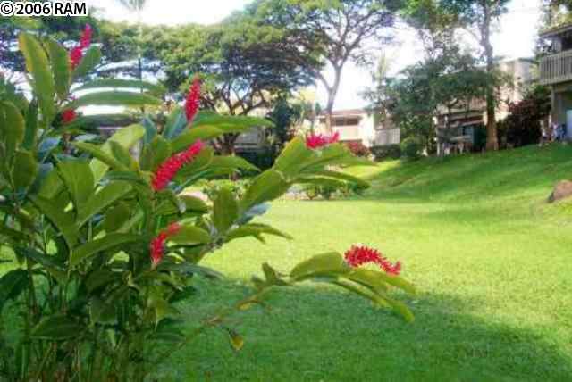 4435 Lower Honoapiilani Road, Unit 124 Lahaina, HI 96761 - Photo 10 of 10 Gallery Image 10