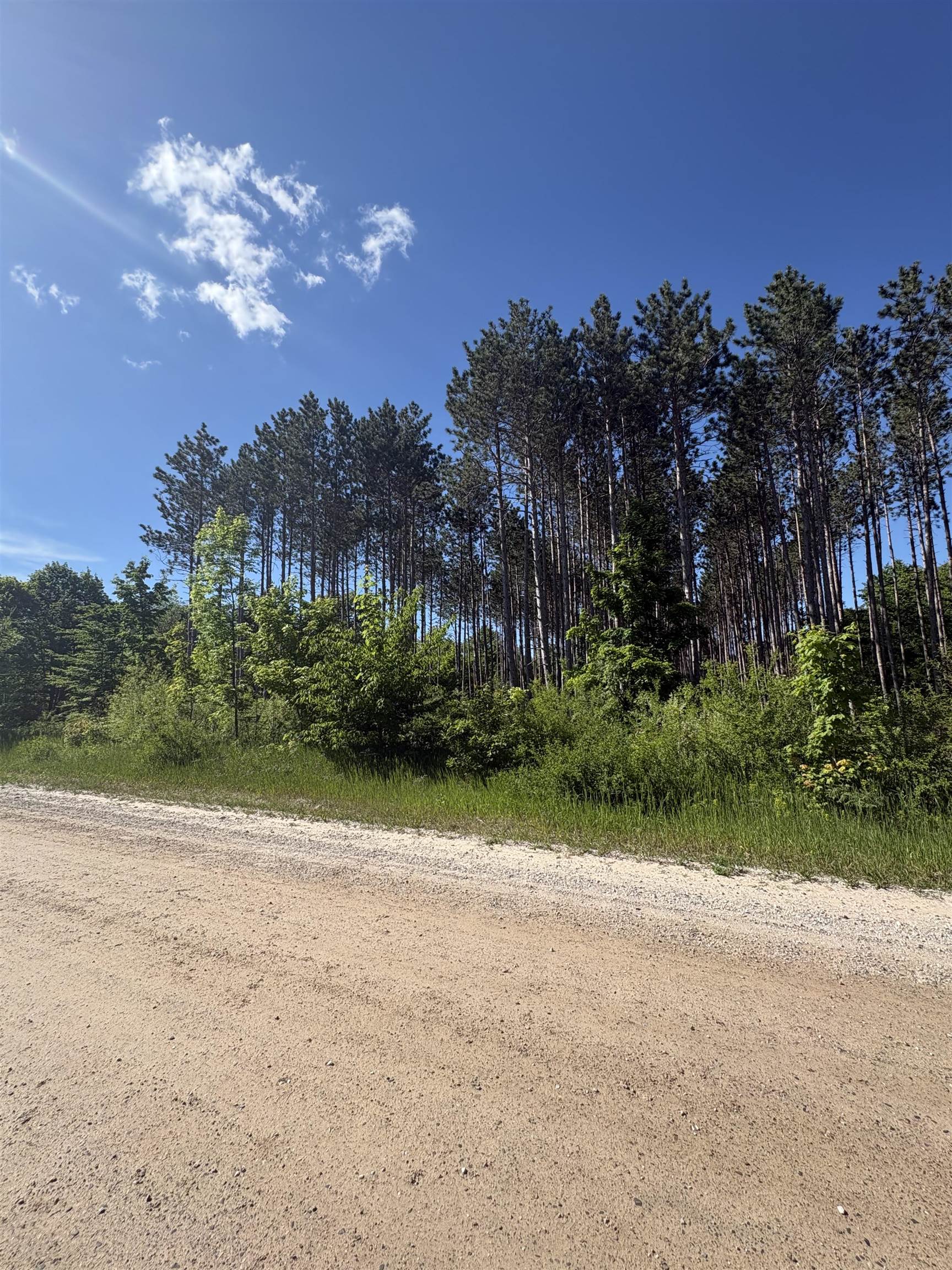 Parcel E St Johns Road Interlochen, MI 49643 - Photo 3 of 11