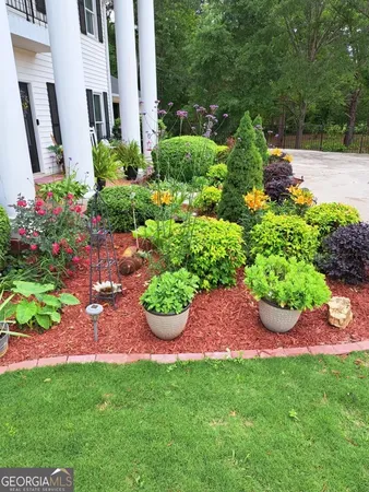 a view of a garden with a flower garden