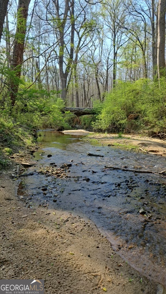 2811 Ike Stone Road Monroe, GA 30656 - Photo 23 of 27