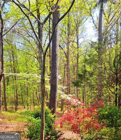 a view of yard with green space