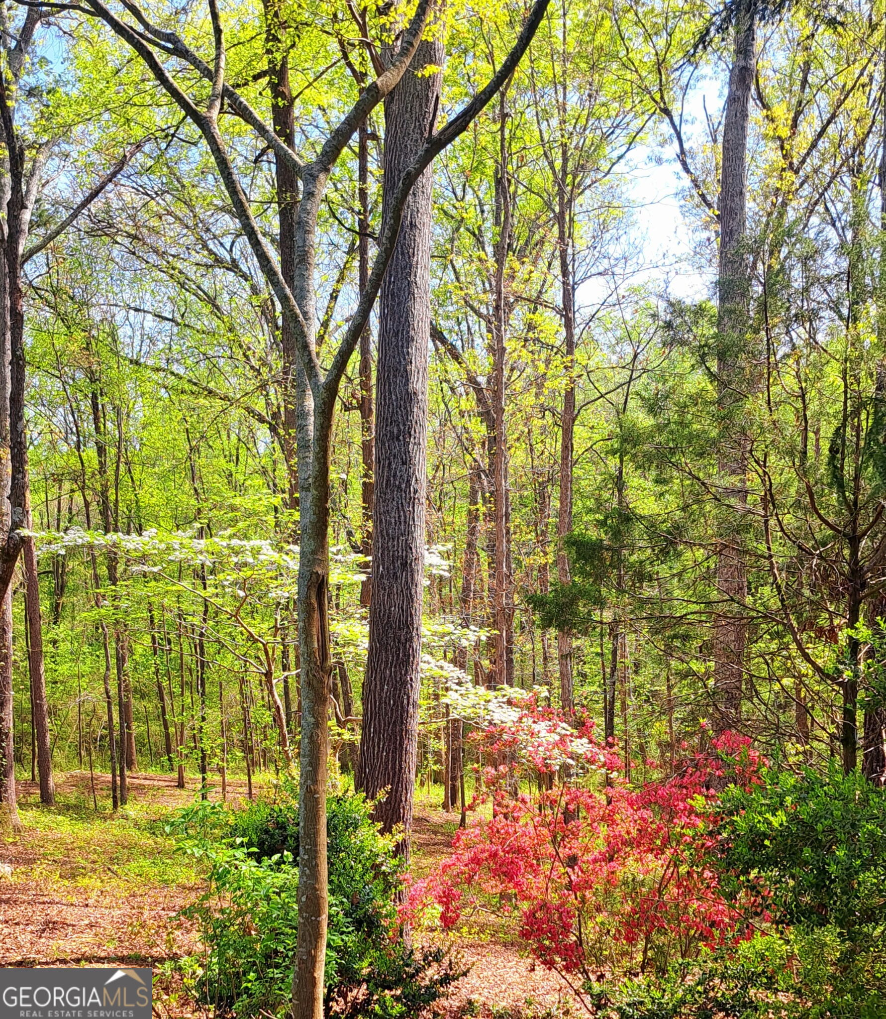 2811 Ike Stone Road Monroe, GA 30656 - Photo 24 of 27