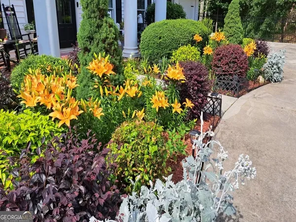 a view of a garden with plants