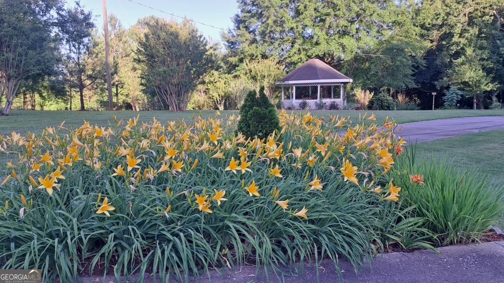 2811 Ike Stone Road Monroe, GA 30656 - Photo 26 of 27