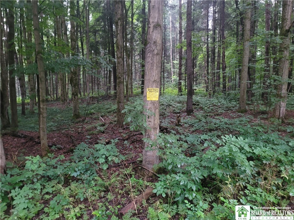 0 Wade Hill Road Gerry, NY 14740 - Photo 11 of 13 Gallery Image 11