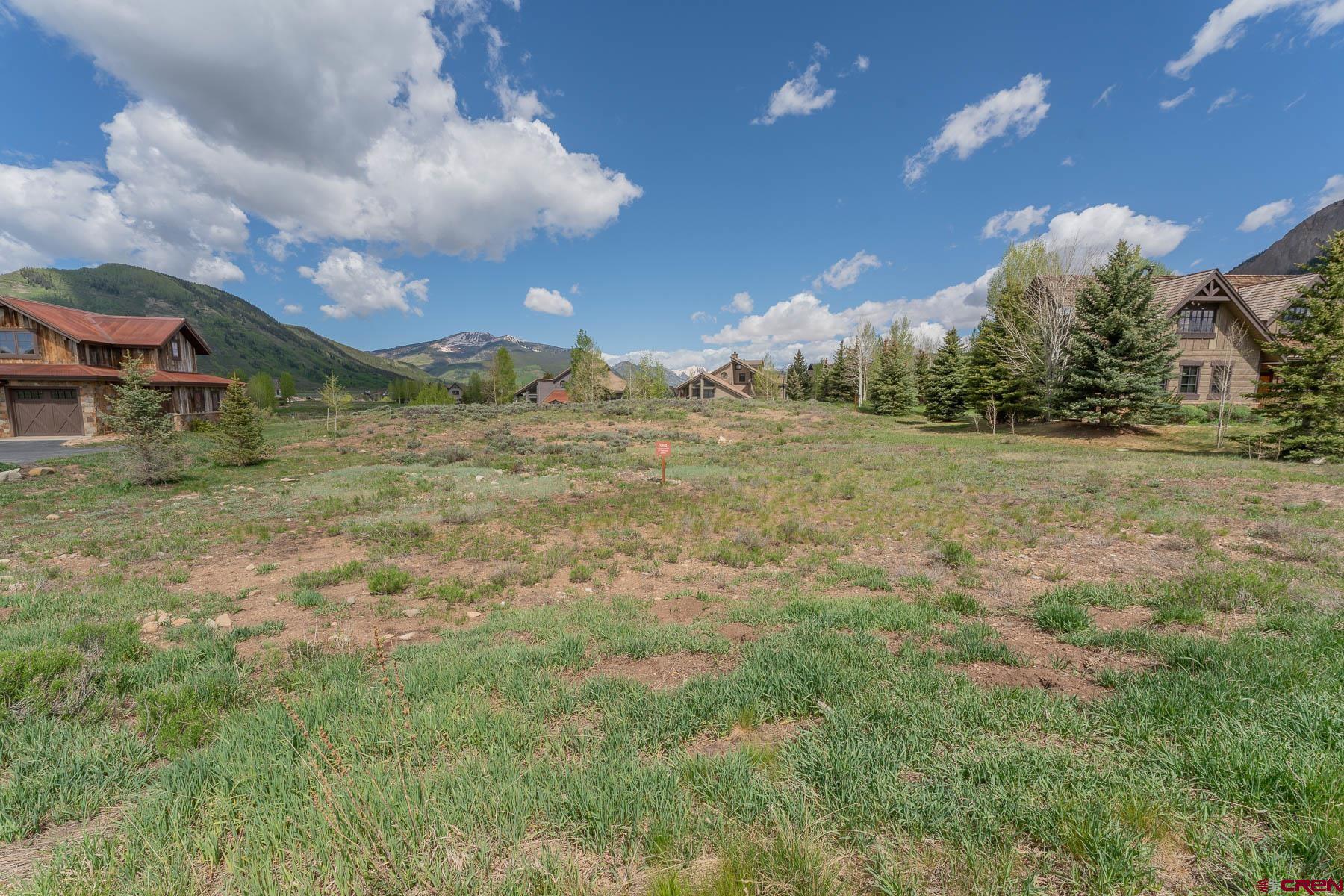 47 Fairway Lane Crested Butte, CO 81224 - Photo 3 of 32 a view of a yard with a house