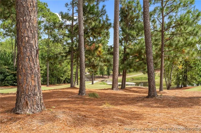 a view of road with trees