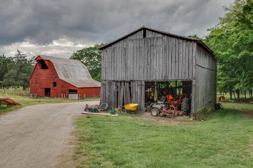6827 Edwards Grove Road College Grove, TN 37046 - Photo 4 of 26 Gallery Image 4