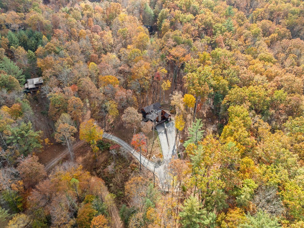247 Toccoa Overlook Drive Blue Ridge, GA 30513 - Photo 35 of 59