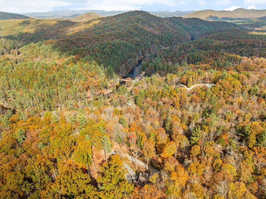 247 Toccoa Overlook Drive Blue Ridge, GA 30513 - Photo 37 of 59